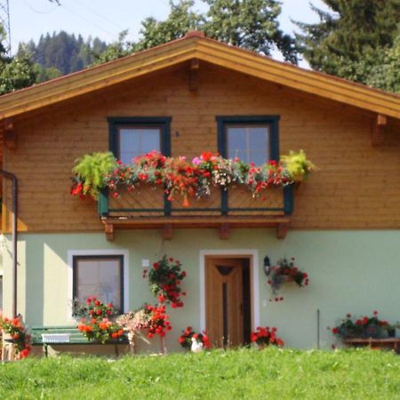 Appartement Haus Soellner à Lend Extérieur photo